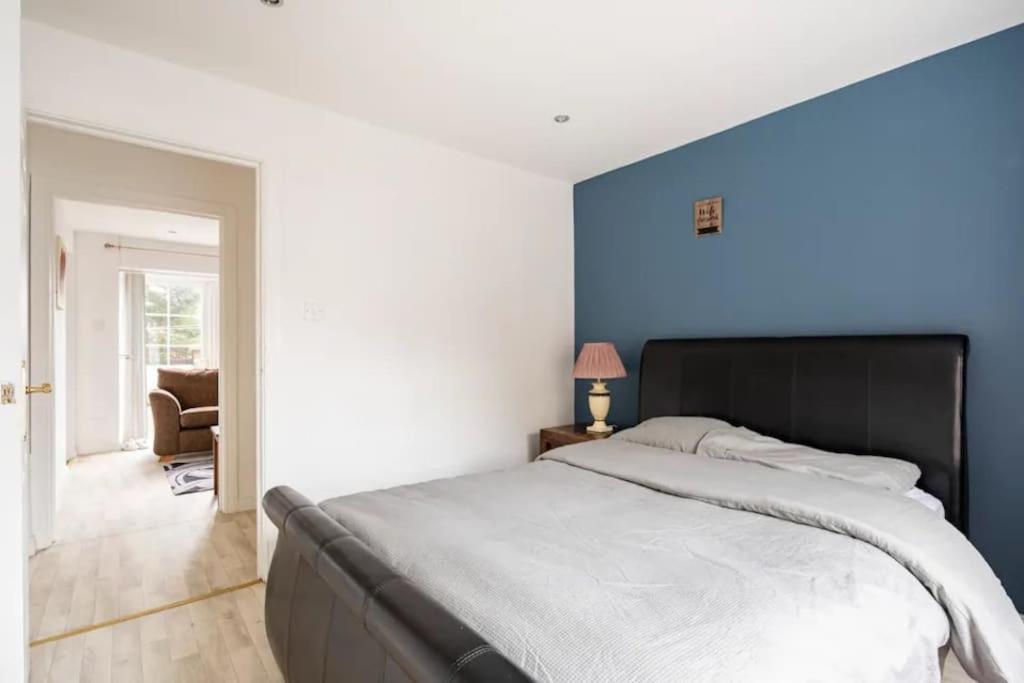 Lovely One Bedroom Flat. ベルファスト エクステリア 写真
